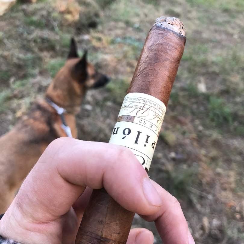Smoking a cigar while walking the dog