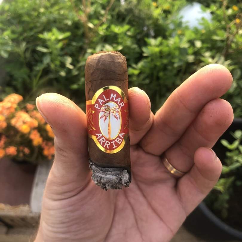 Palmar Arriba cigar review