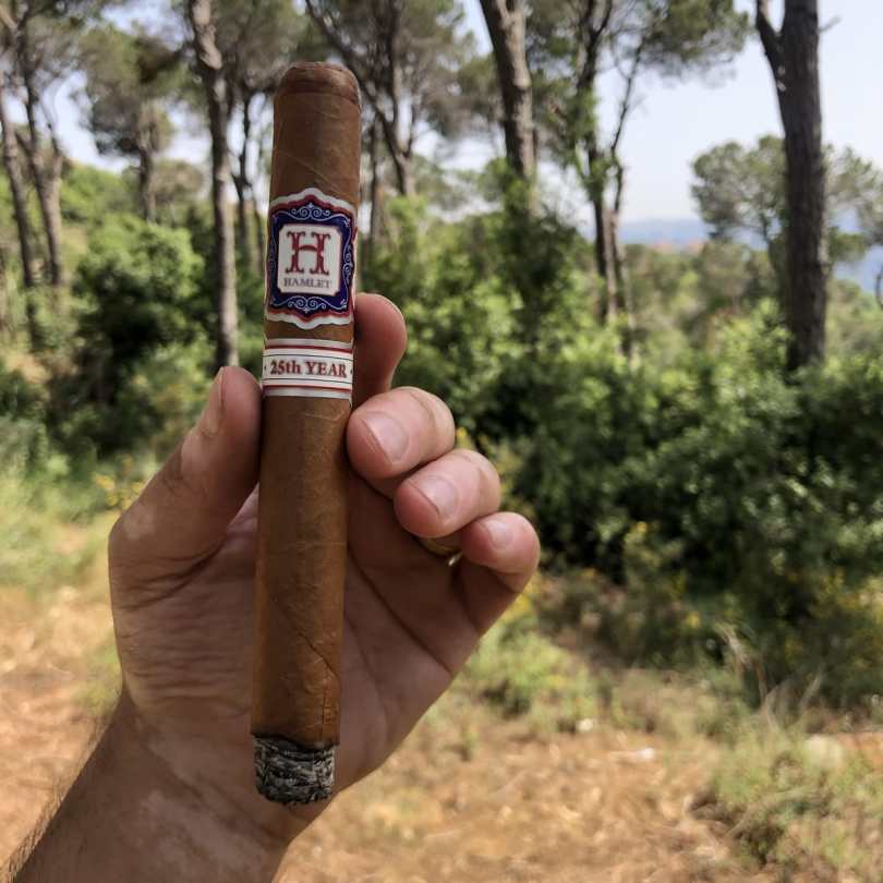 Hamlet Paredes 25th Year Toro during a picnic in Dhour El Choueir